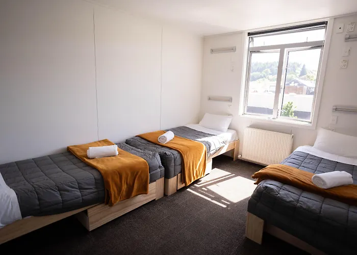 Hostel The Brownston